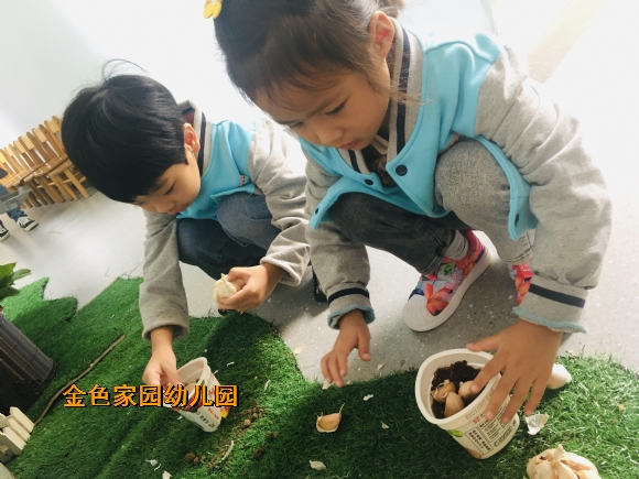 附件：IMG_E2490.JPG