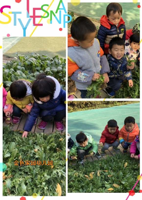 附件：1.jpg