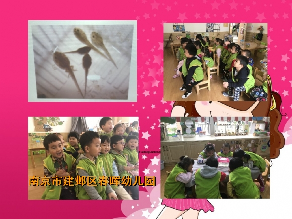 附件：IMG_6672_conew11.jpg