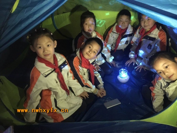 附件：QQ图片20190505002835.jpg