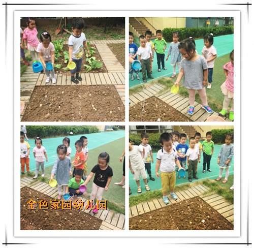 附件：2.jpg