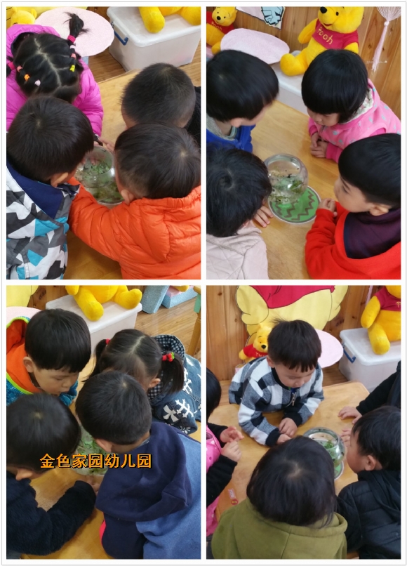 附件：pt2017_04_10_09_19_51.jpg