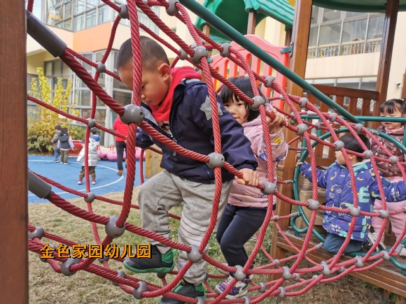 附件：IMG_20201225_094344.jpg