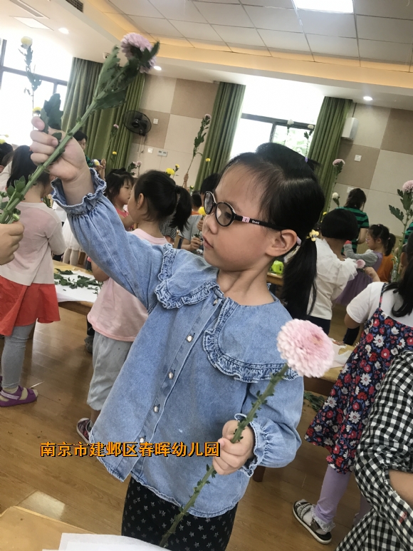 附件：IMG_8591.JPG