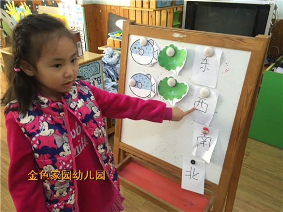 附件：IMG_9851.jpg