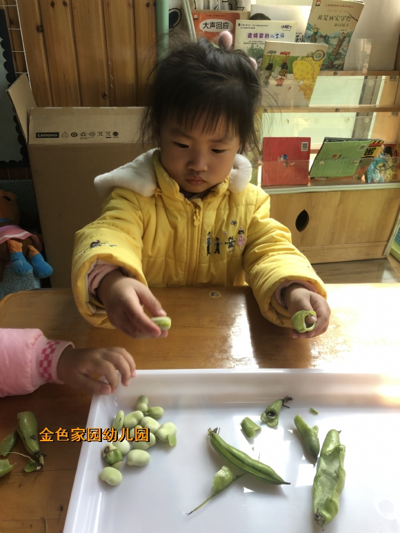 附件：IMG_9456.JPG