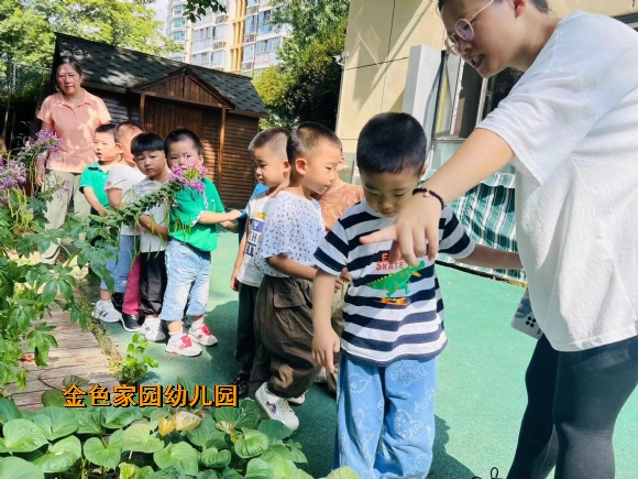 附件：6302d8d56f47b039ebc51f6851ad0ab.jpg