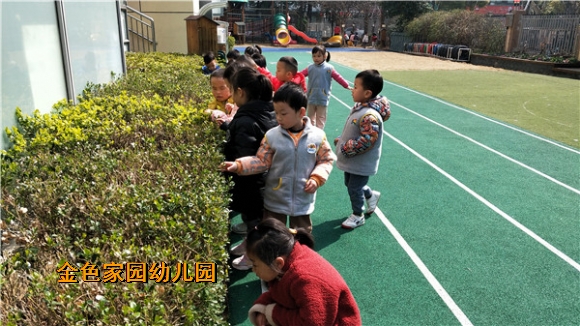 附件：5.jpg