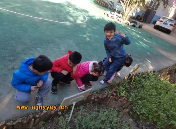 附件：Screenshot_20211229_094506.jpg.jpg
