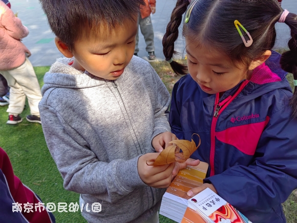 附件：IMG_20221115_103225.jpg