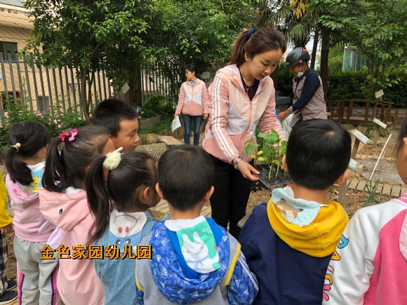 附件：IMG_8343(20210428-131113).JPG