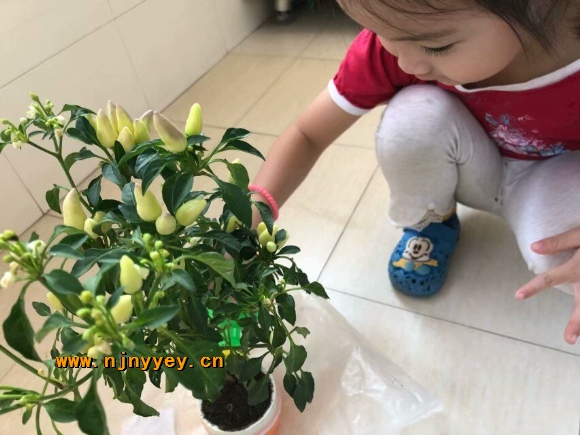 附件：QQ鍥剧墖20181008230048.jpg