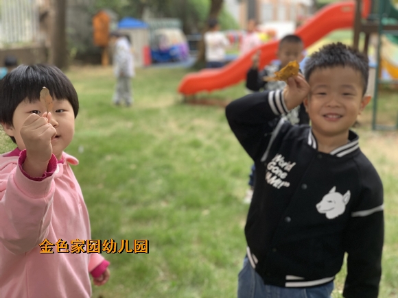 附件：1666854697668.jpg