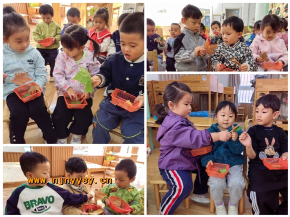 附件：1.jpg