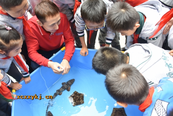 附件：DSC_2385.jpg