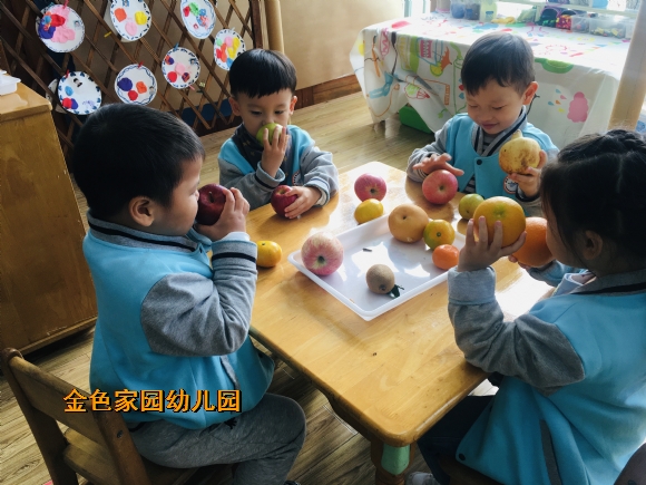 附件：IMG_E2919.JPG
