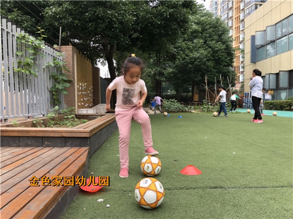 附件：IMG_3378.jpg
