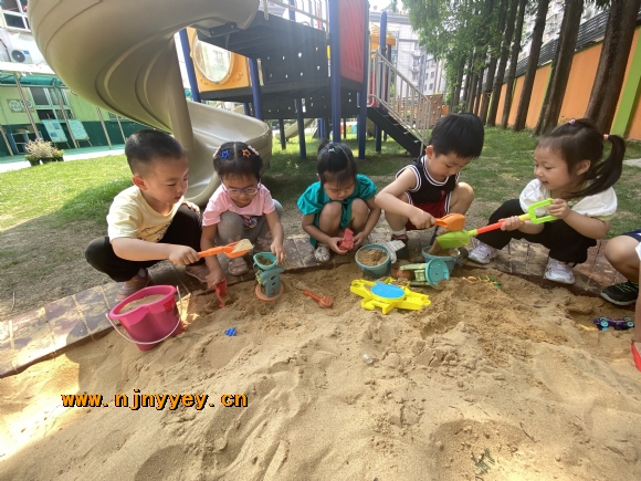 附件：IMG_6716(20230620-091244).JPG