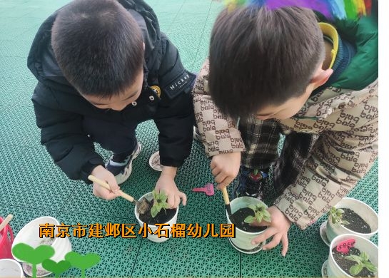 附件：2.jpg