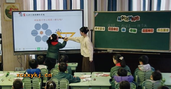 附件:秦淋老师.PNG 附件:秦淋老师.PNG