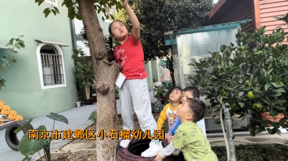 附件：QQ图片20231103104830.jpg