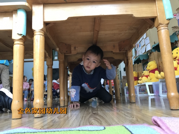 附件：IMG_8350.JPG
