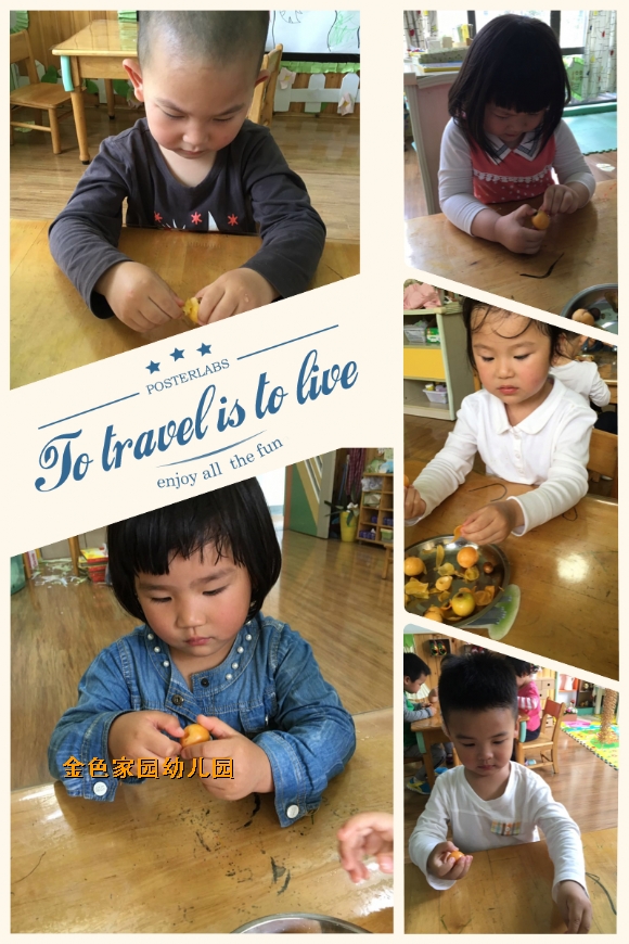 附件：IMG_8201.JPG