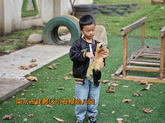 附件：QQ图片20241010095326.jpg
