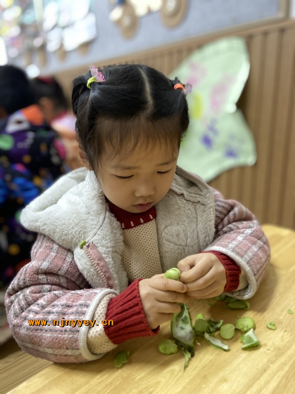 附件：IMG_3969.JPG