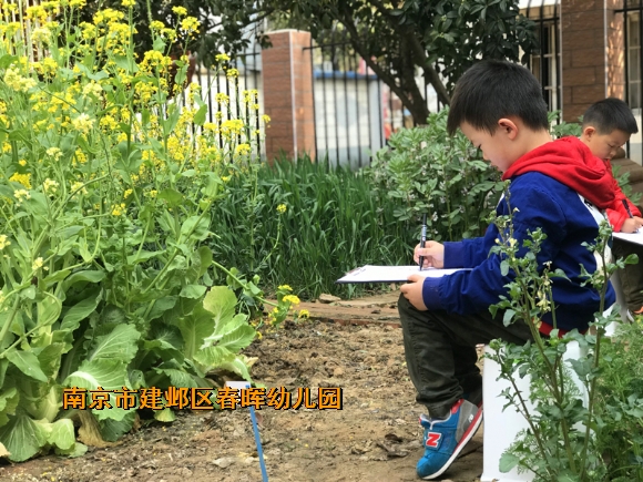 附件：QQ鍥剧墖20180327122523.jpg