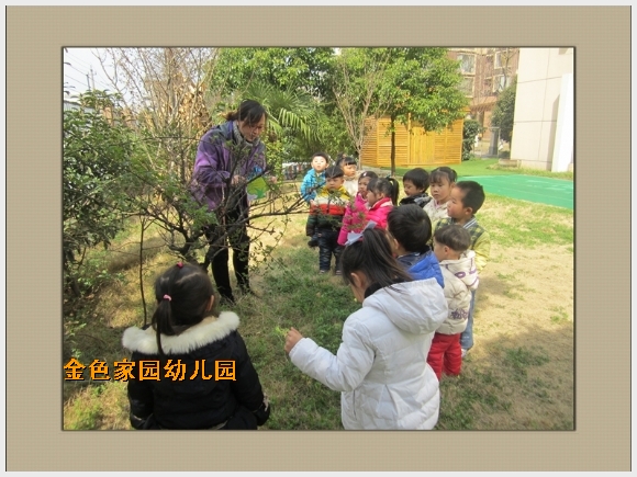 20140314154225656.jpg