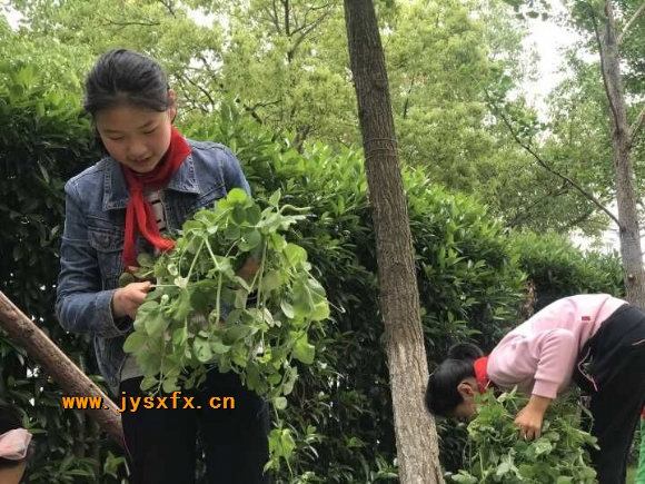 附件：QQ图片20180428161109.jpg