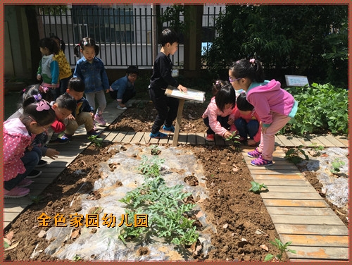 附件：瑙傚療3.jpg
