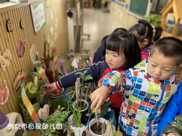附件：1.jpg
