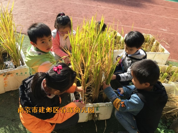 附件：conew_img_6200.jpg