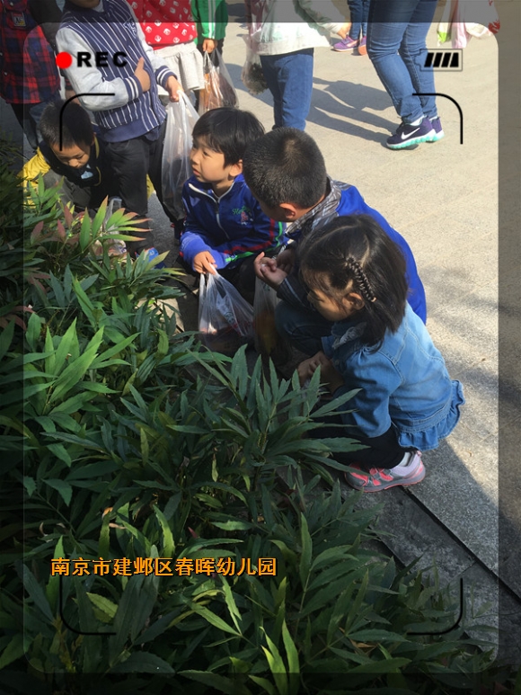 附件：6_副本.jpg
