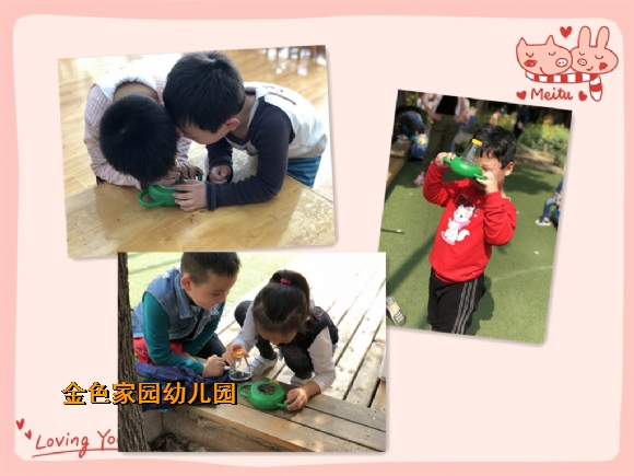 附件：IMG_2898_鍓湰22.jpg