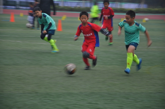 附件：DSC_3873.JPG