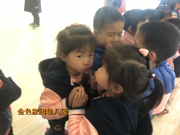 附件：IMG_9268.JPG