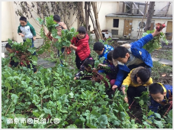 建邺教育信息网