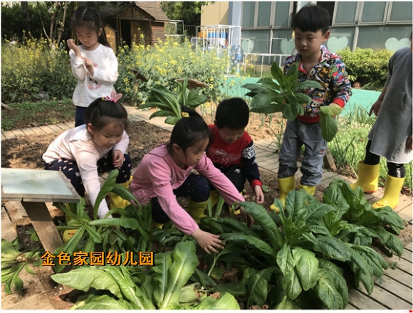 附件：IMG_2196.JPG