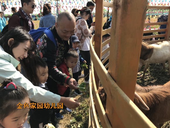 附件：IMG_3155.JPG