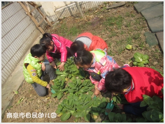 建邺教育信息网