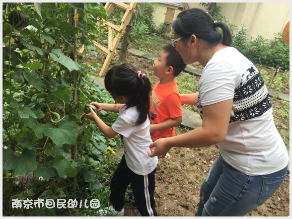 建邺教育信息网