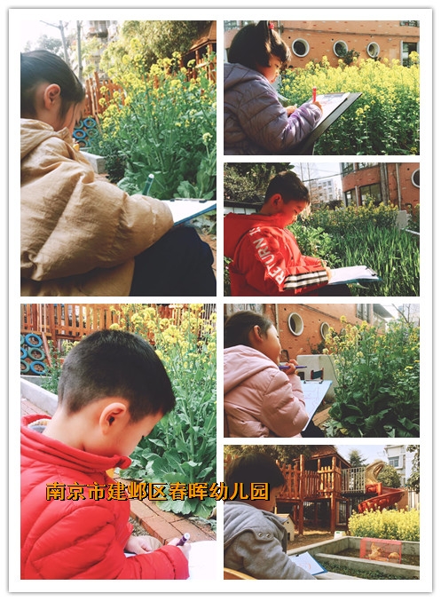 附件：3.jpg