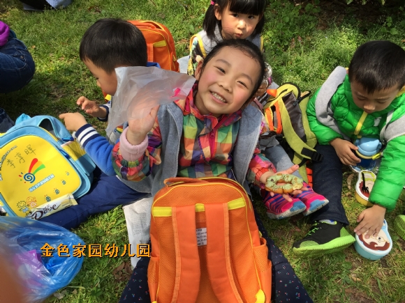 附件：IMG_4185.JPG