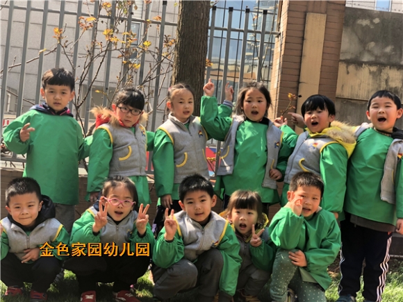 附件：334920398015277385.jpg