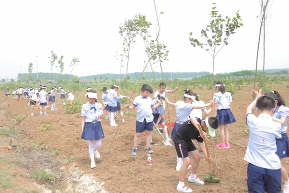 附件：1 (16).jpg