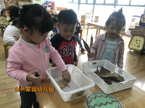 附件：IMG_1883.JPG