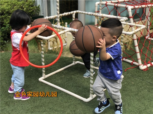 附件：IMG_5919.jpg